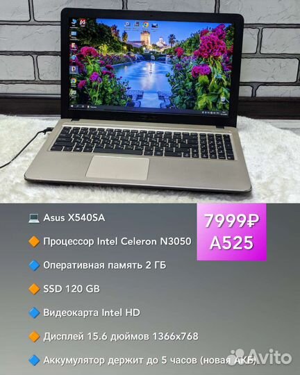 Asus / Celeron N3050 / 2GB / SSD 120GB