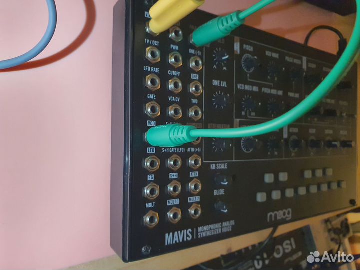 Moog Mavis полумодульный аналоговый синтезатор
