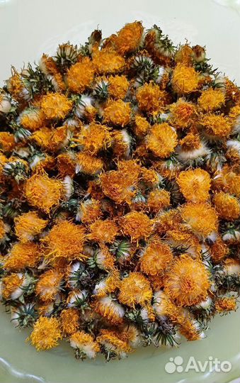 Цветки одуванчика сушеные