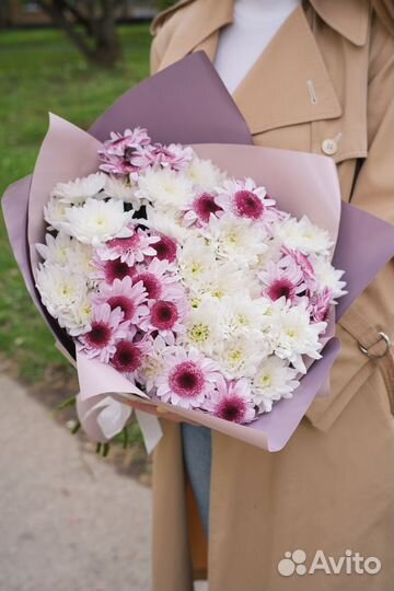 Хризантема кустовая