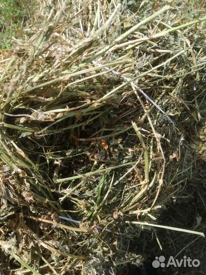 Сено в тюках