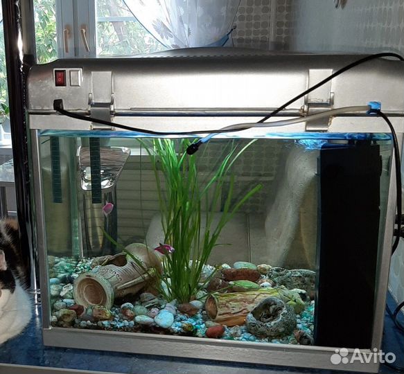 Аквариум на 60 литров