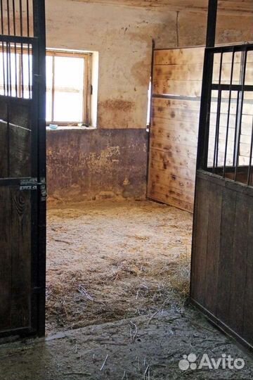 Аренда денников (постой)