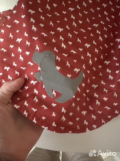 Одежда для собак