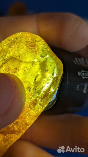 Янтарь с инклюзом