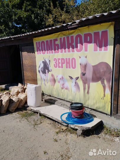 Корма, зерно, сено