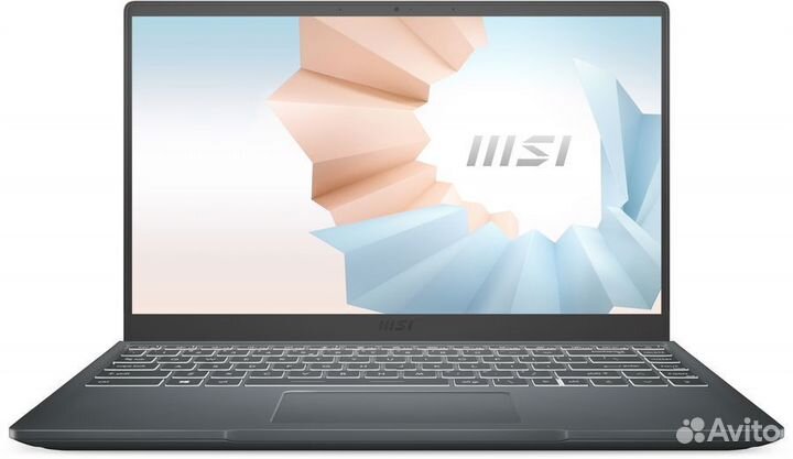 1001 Msi 9S7-14DL24-243