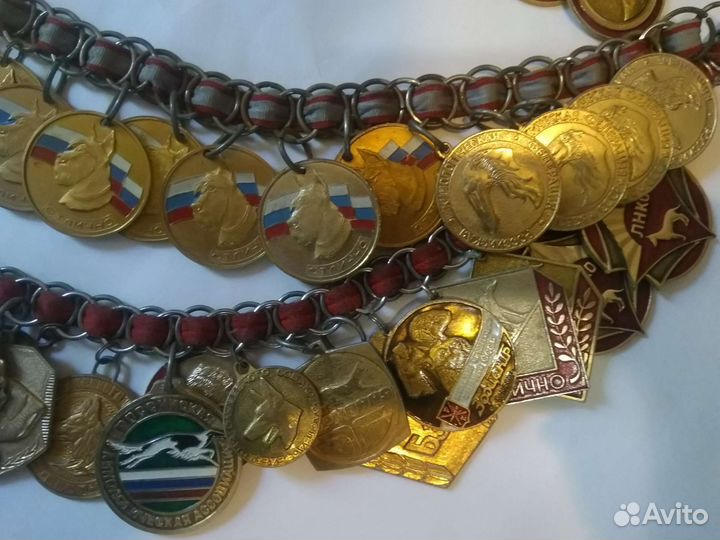 Медали собачьих выставок на выставочном ошейнике