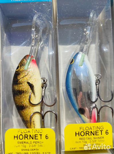 Salmo hornet 6F