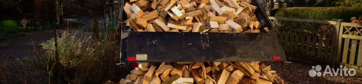 Дрова оптом