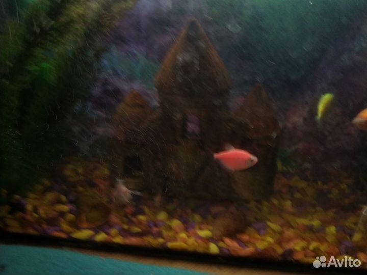 Украшение для аквариума