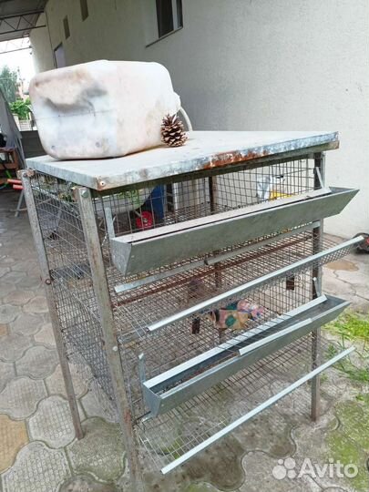 Клетка для перепелов