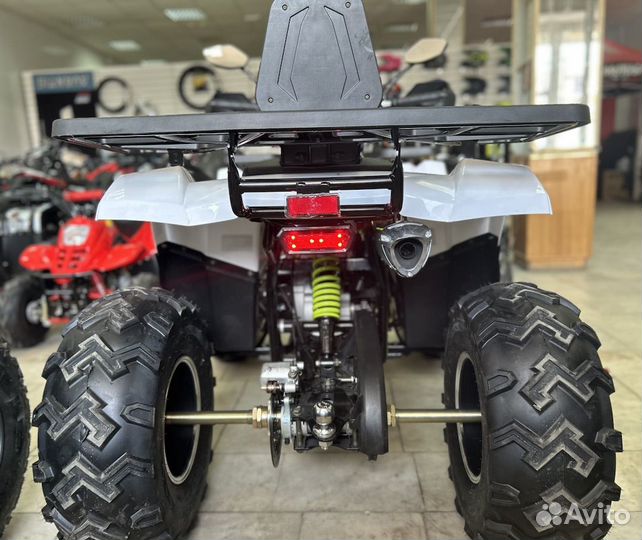 Avantis Hunter 200 New Premium 2023 (баланс-вал)