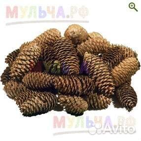 Мульча из сосновых шишик