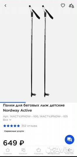 Лыжные палки, 100 см