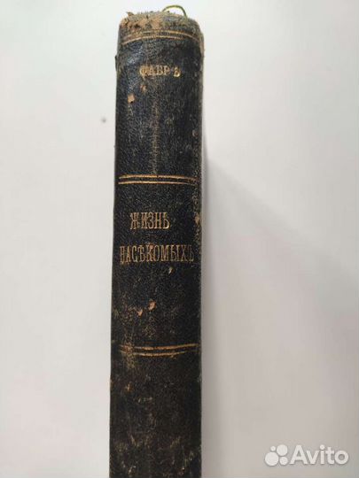 Фабр. Жизнь насекомых, 1911