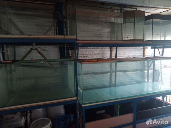 Узв из аквариумов