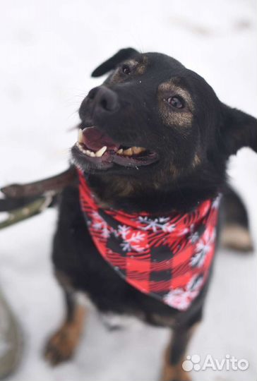 Интеллигентный мальчик Виктор