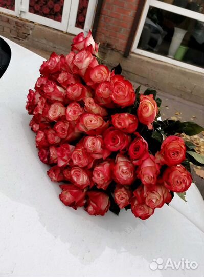 Букет роз. Розы 51 шт