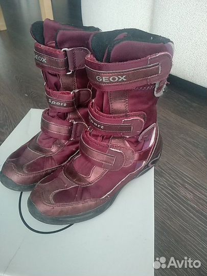 Сапожки geox зимние
