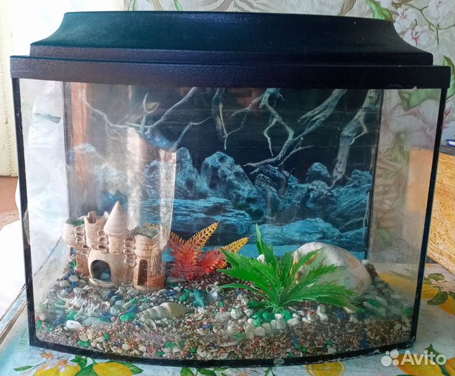 Аквариум