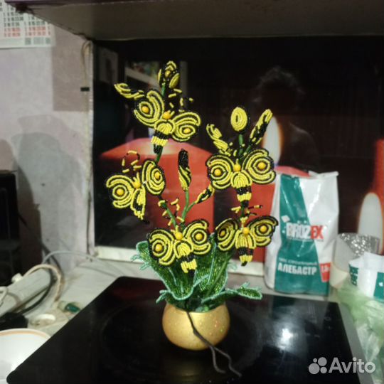 Орхидея пчёлка