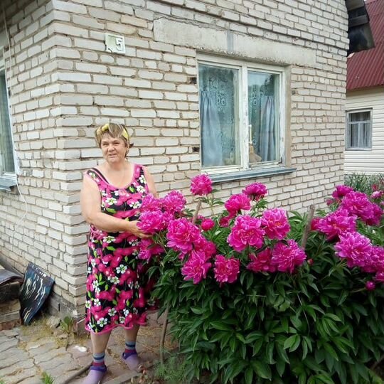 Дача 50 м² на участке 6 сот.