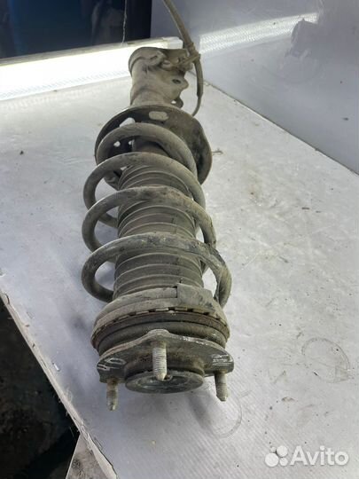 Амортизатор передний Honda Civic 4D