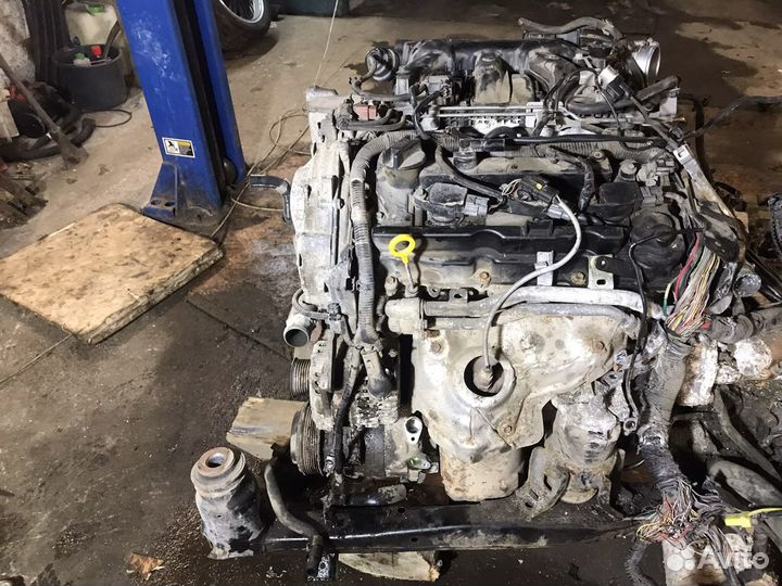 Двигатель на nissan teana j32 2,5
