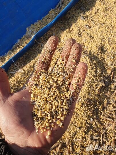 Комбикорм для кур