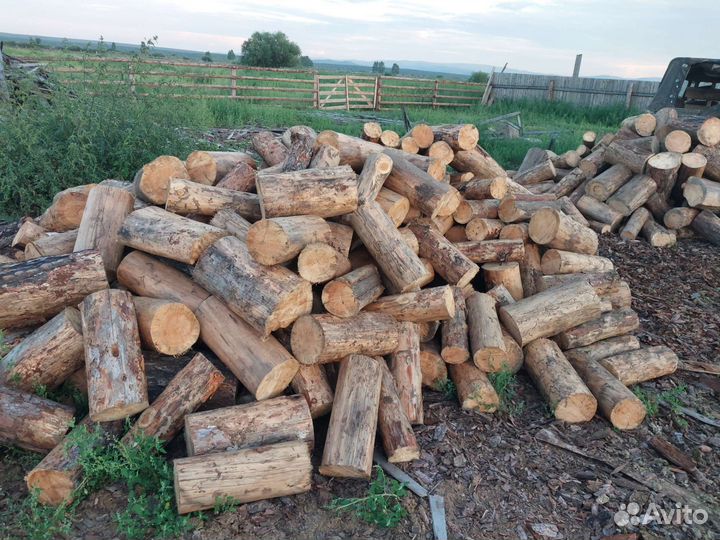 Продам дрова сухие