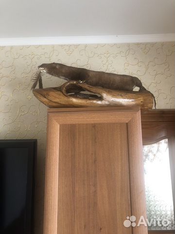 Чучело зверя