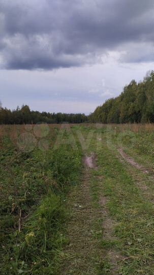 Участок 12 га (ИЖС)