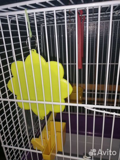 Клетка для попугая бу