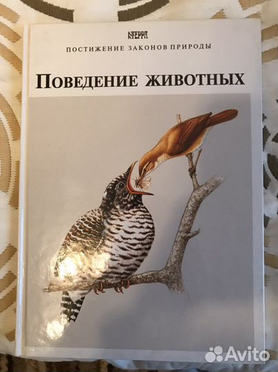 Книги «Постижение законов природы» Терра