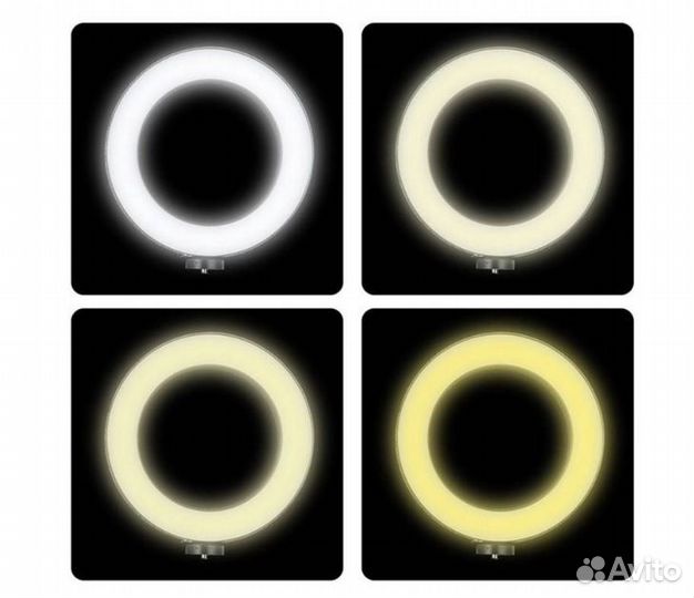 Световое кольцо со штативом D36см (штатив 210см)