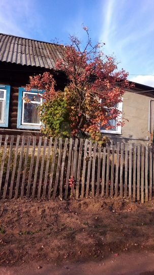 Дом 56,4 м² на участке 10 сот.