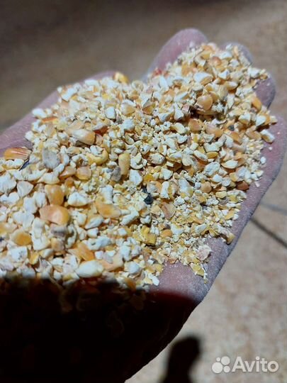 Кукуруза колотая