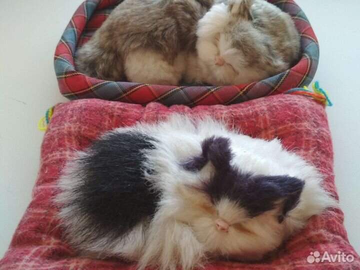 Котики /собачки для коллекции штучно