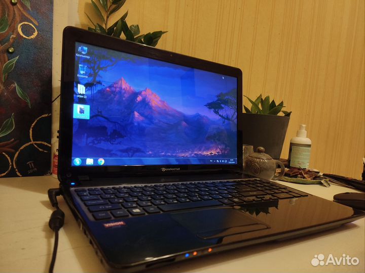 Ноутбук Packard Bell