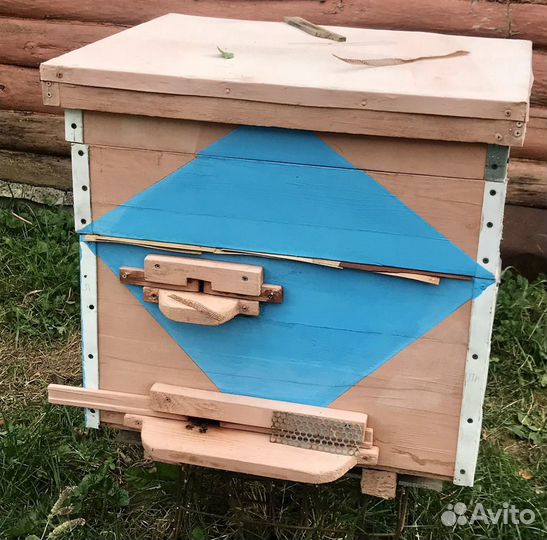 Пчелы с ульями