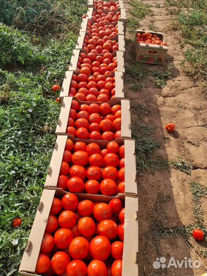 Продаю свое