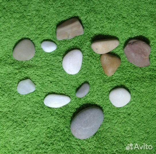 Ракушки, камушки, в коллекцию или для аквариума