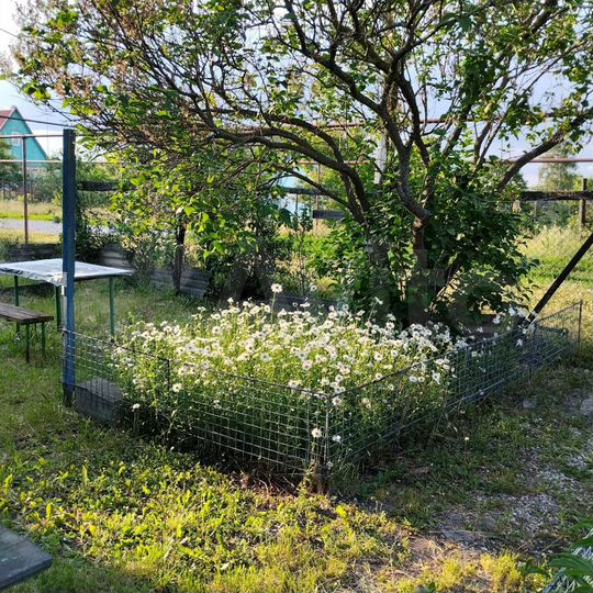 Дом 65,2 м² на участке 15 сот.