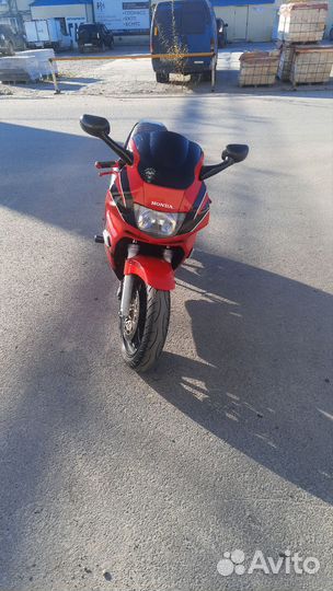 Спорт