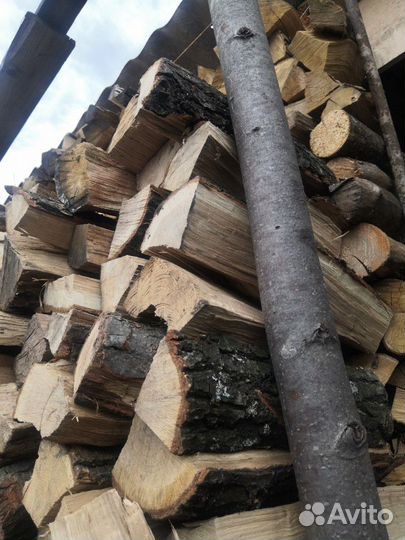 Дрова дубовые и берёзовые
