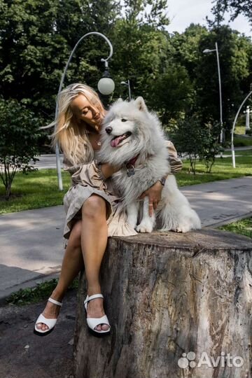 Фотосессия с собакой