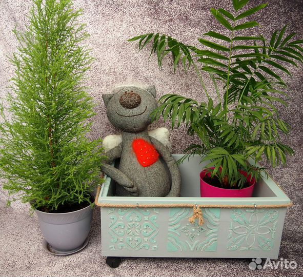 Ящик для хранения на колесах