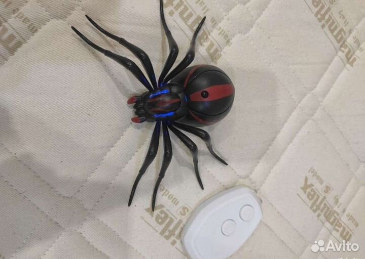 Паук на пульте управления
