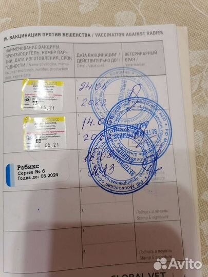 Йоркширский терьер вязка мальчик